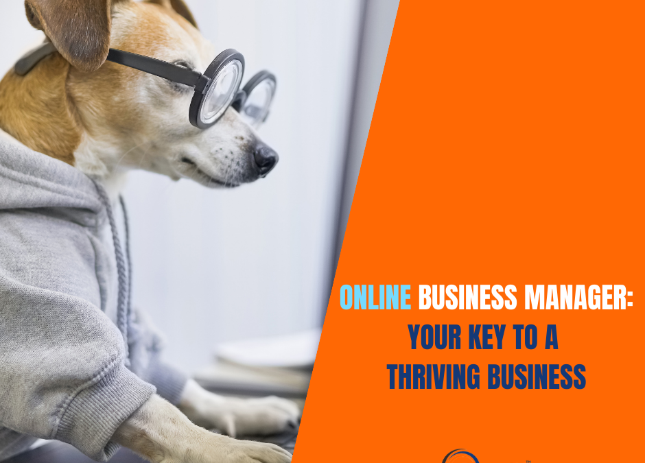 online business manager dog typing on laptop